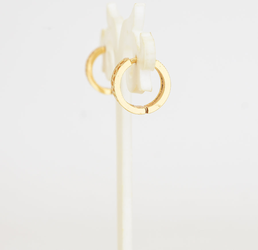 Magenta Radiant Hoop Earrings - Y101404