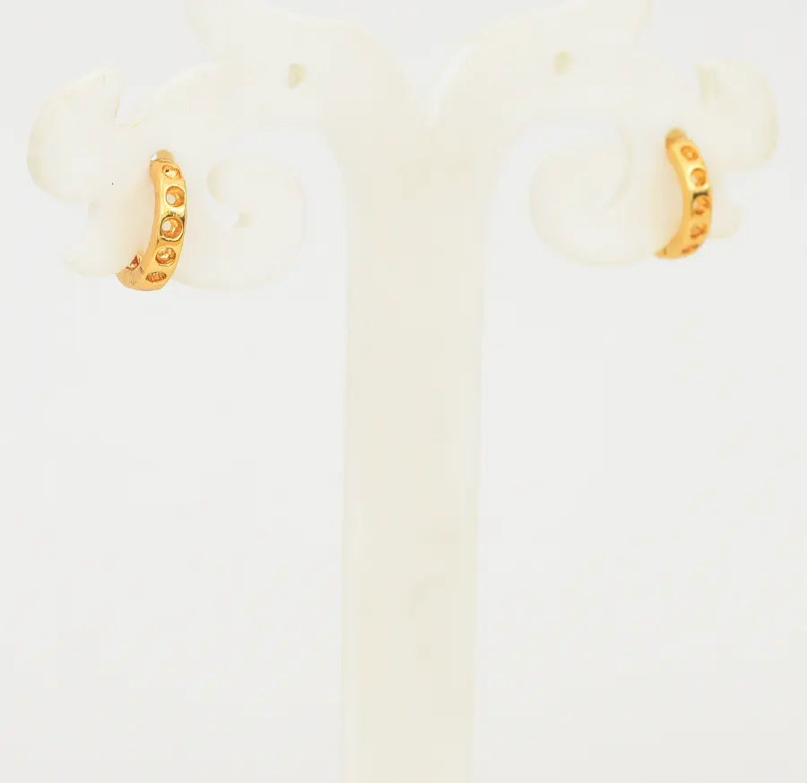 Aquila Hoop Earring - W08888