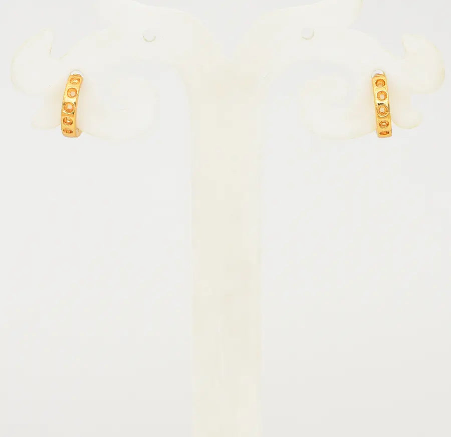 Aquila Hoop Earring - W08888