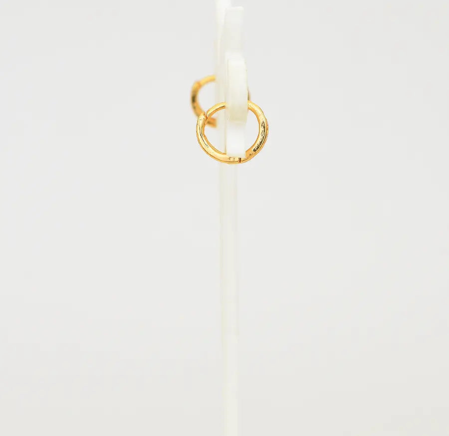 Aquila Hoop Earring - W08888