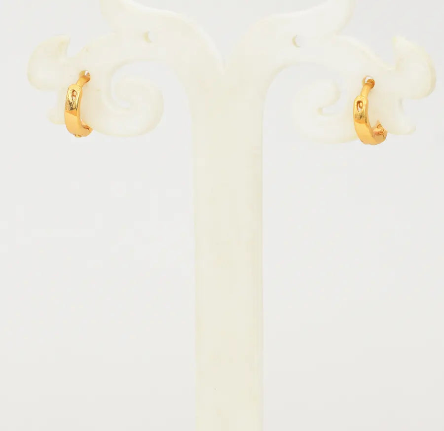 Aquila Hoop Earring - W08888